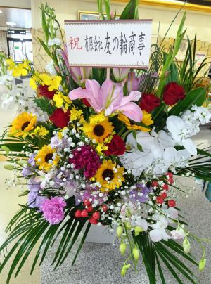 �ʏ����n�r���@���j���[�A���I�[�v��
